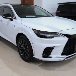 2023 Lexus RX350 F Sport (2498)