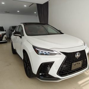 2023 Lexus NX350 F Sport (3126)