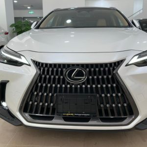 2022 Lexus NX250 Version L (0504)