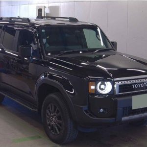 2024 Toyota Landcruiser 250 VX (7117)