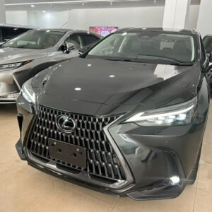 2023 Lexus NX250 Version L (1676)
