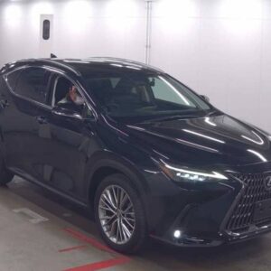 2023 Lexus NX250 Version L (1676)