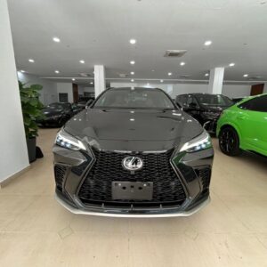 2023 Lexus NX350 F Sport (2665)