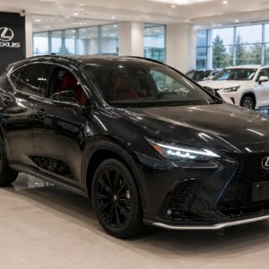 2023 Lexus NX350 F Sport (2665)