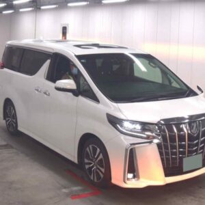2021 Toyota Alphard SC Package (2108)