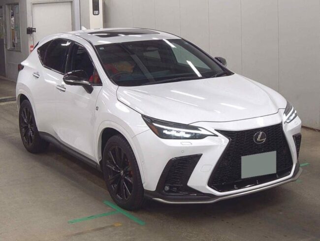 2025 Lexus NX350 F Sport (3646)