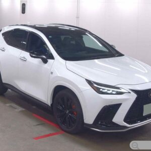 2025 Lexus NX350 F Sport (3654)