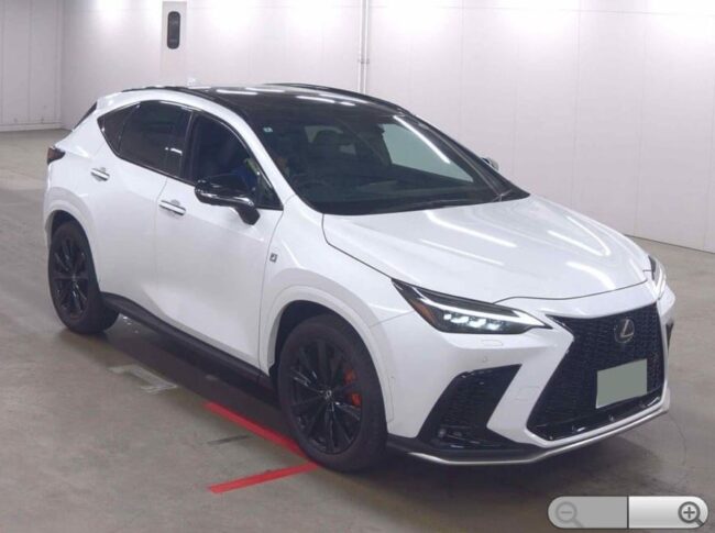 2025 Lexus NX350 F Sport (3654)