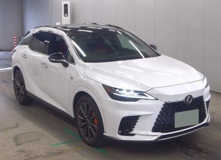 2024 Lexus RX350 F Sport (9689)