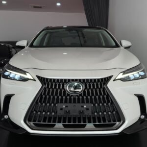 2023 Lexus NX250 Version L (2414)