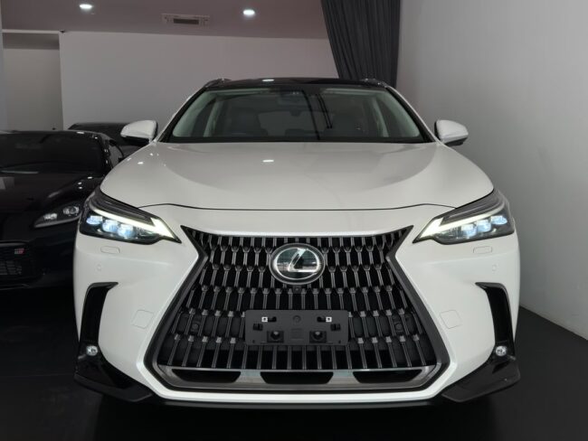 2023 Lexus NX250 Version L (2414)
