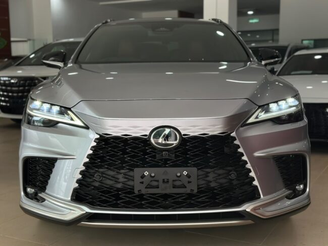 2024 Lexus RX350 F Sport (8690)